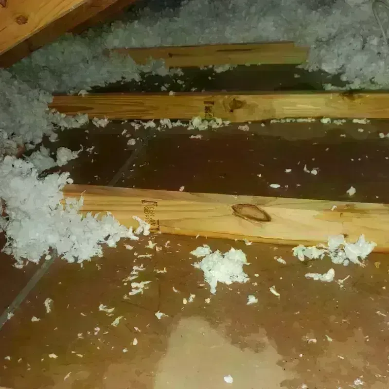 Attic Water Damage in New Kent, VA