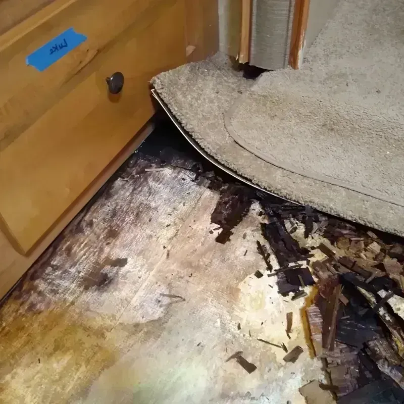 Wood Floor Water Damage in New Kent, VA